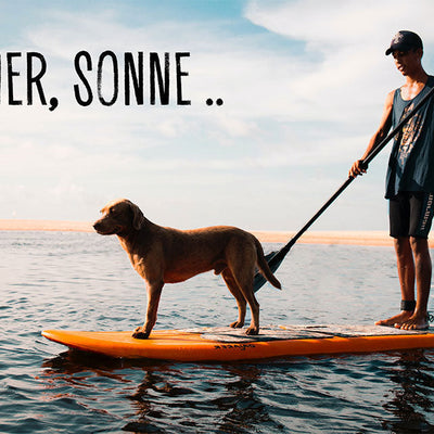 SOMMER, SONNE, HEIßE PFOTEN!