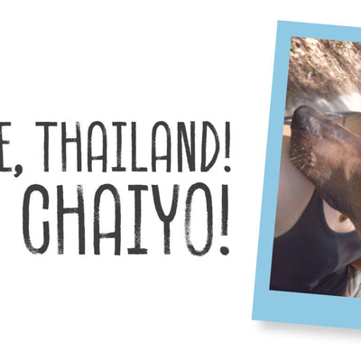 GOODBYE THAILAND! HELLO CHAIYO!
