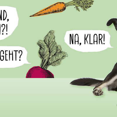 Vegane Hundeernährung: Pro & Contra – VEGDOG