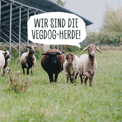 WEIL JEDES LEBEN ZÄHLT: UNSERE SCHAFHERDE
