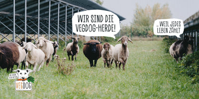 WEIL JEDES LEBEN ZÄHLT: UNSERE SCHAFHERDE