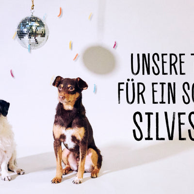 KOMMT GUT INS NEUE JAHR – TIPPS FÜR SILVESTER