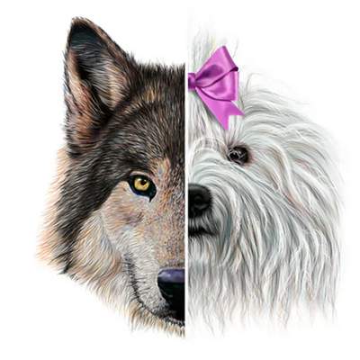 WIE DER WOLF ZU UNSEREM BESTEN FREUND WURDE