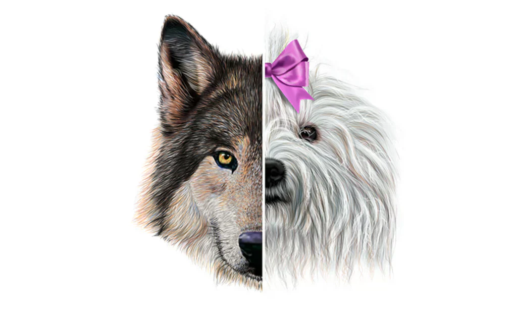 WIE DER WOLF ZU UNSEREM BESTEN FREUND WURDE
