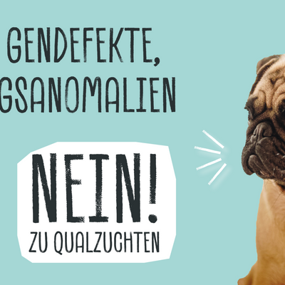 ATEMNOT, GENDEFEKTE, BEWEGUNGSANOMALIEN – NEIN ZU QUALZUCHTEN!