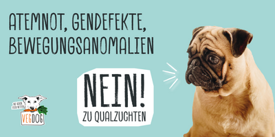 ATEMNOT, GENDEFEKTE, BEWEGUNGSANOMALIEN – NEIN ZU QUALZUCHTEN!