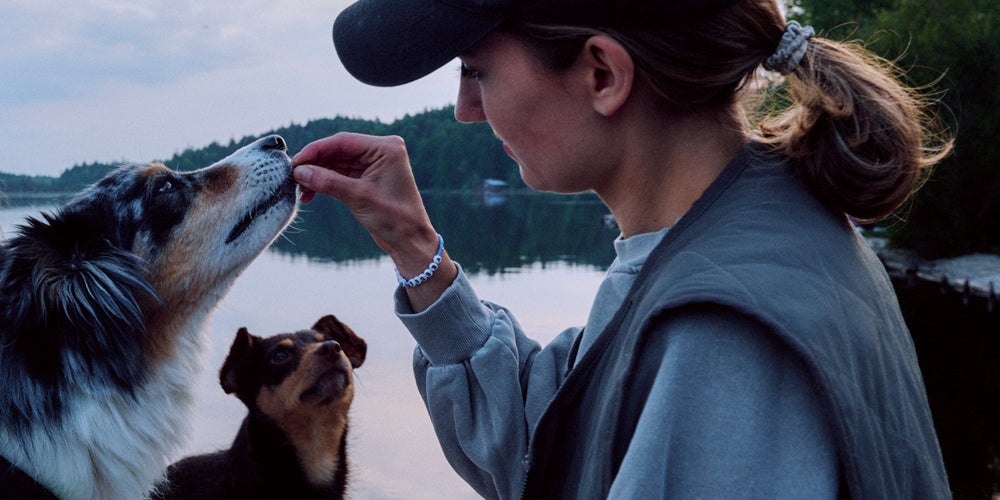 Ein grüner Pfotenabdruck