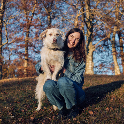 Herbstbilder mit Hund: Die besten Motive für die goldene Jahreszeit