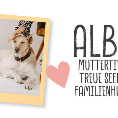 ALBA MUTTERTIER TREUE SEELE