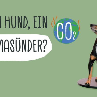 MEIN HUND, EIN KLIMASÜNDER?