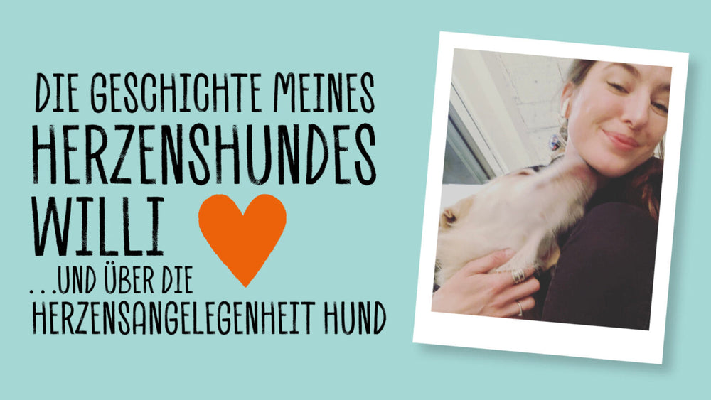 DIE GESCHICHTE MEINES HERZENHUNDES WILLI… UND ÜBER DIE HERZENSANGELEGENHEIT “HUND”