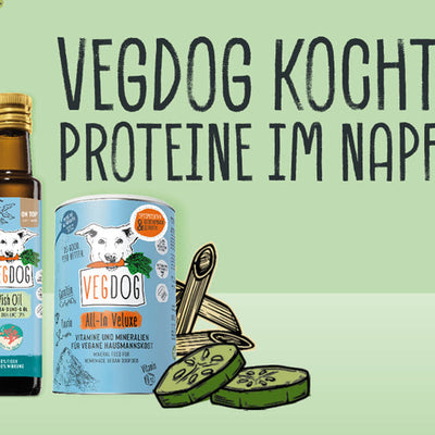 Proteine im Napf – Bedarfsdeckend* mit Tofu, Hülsenfrüchten & frischem Gemüse