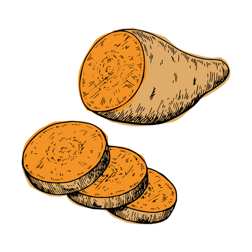 Sweet Potato