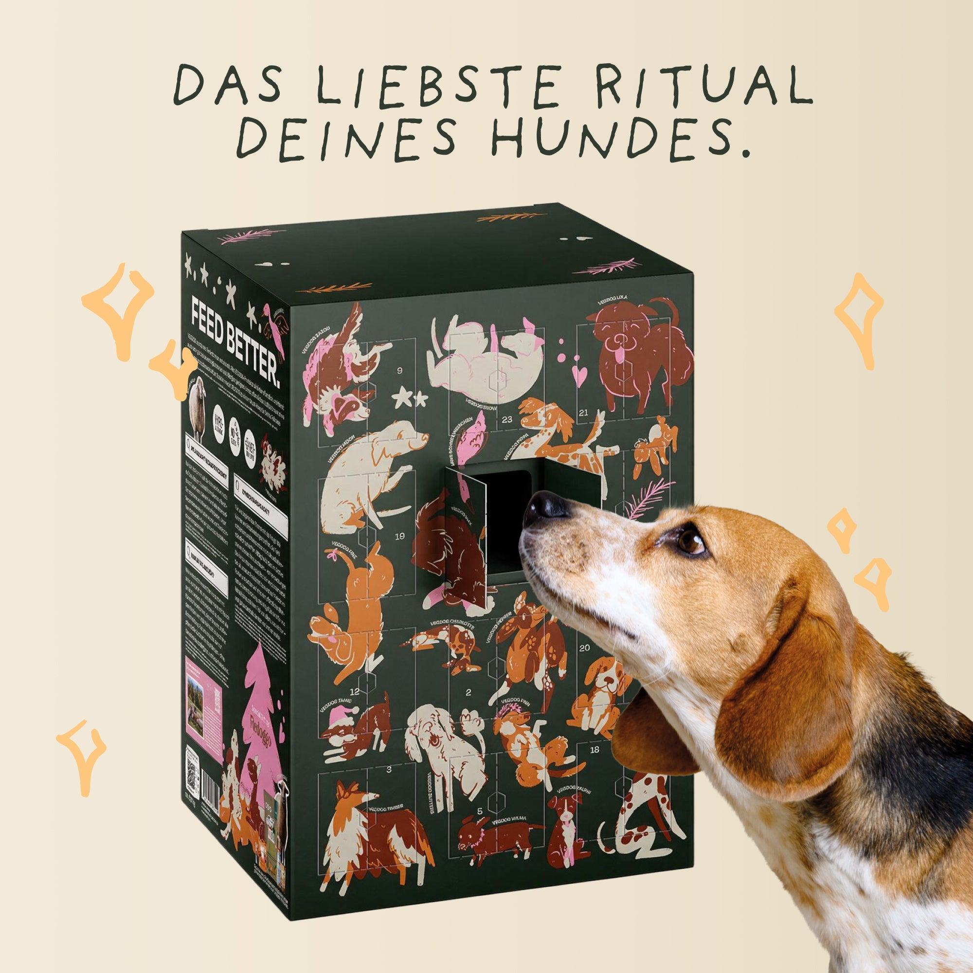 VEGDOG Adventskalender 2026 groß