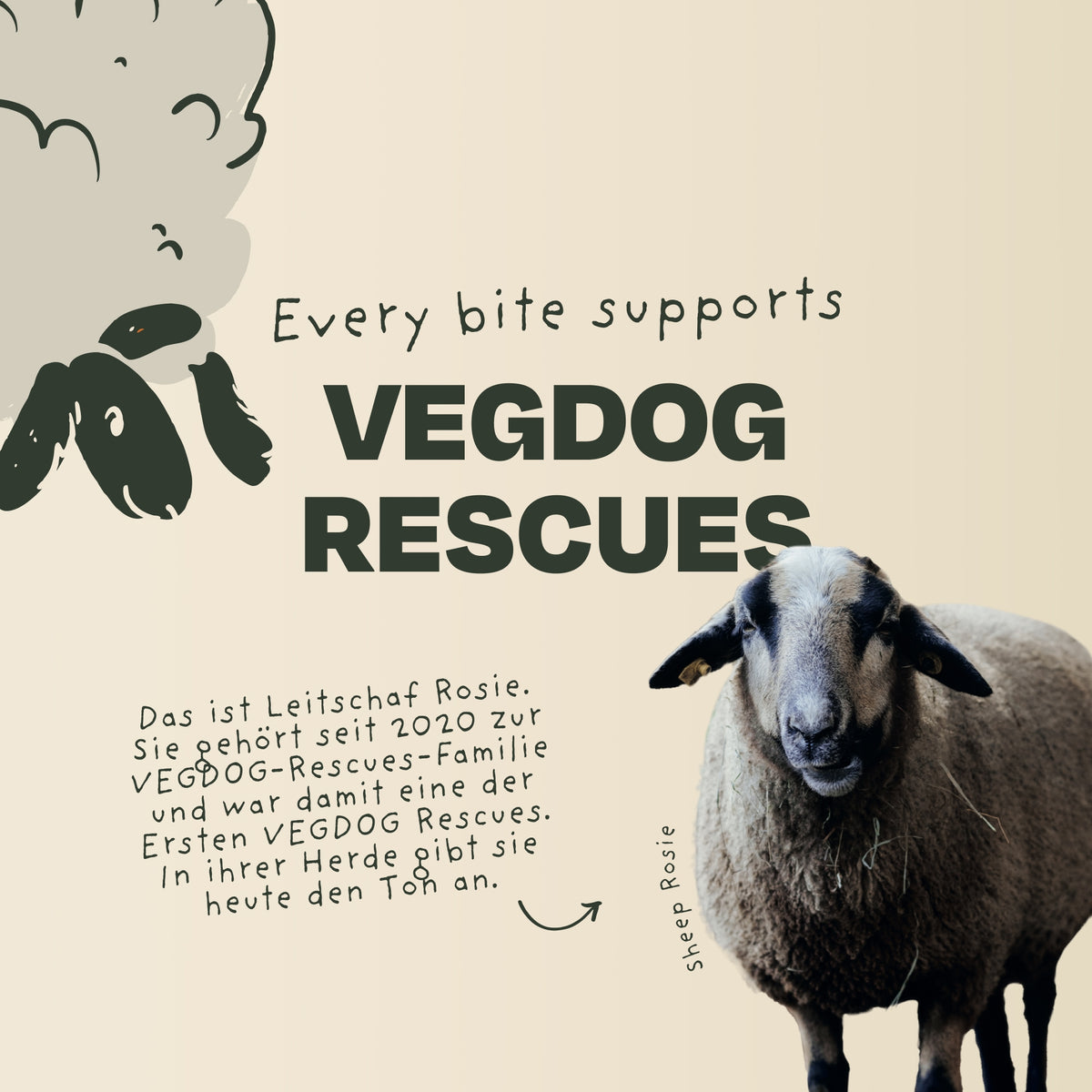 Calendario dell'Avvento VEGDOG 2026 grande