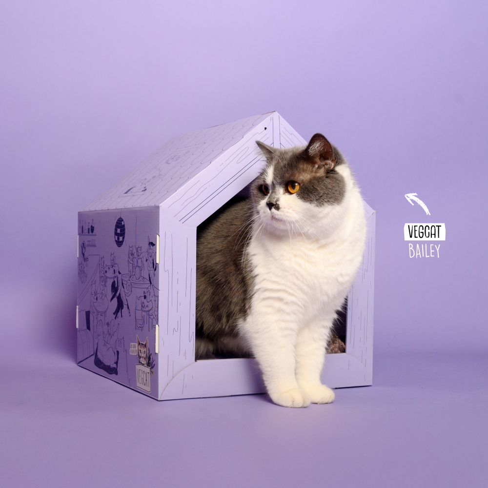 VEGCAT Clubhouse & All Bites