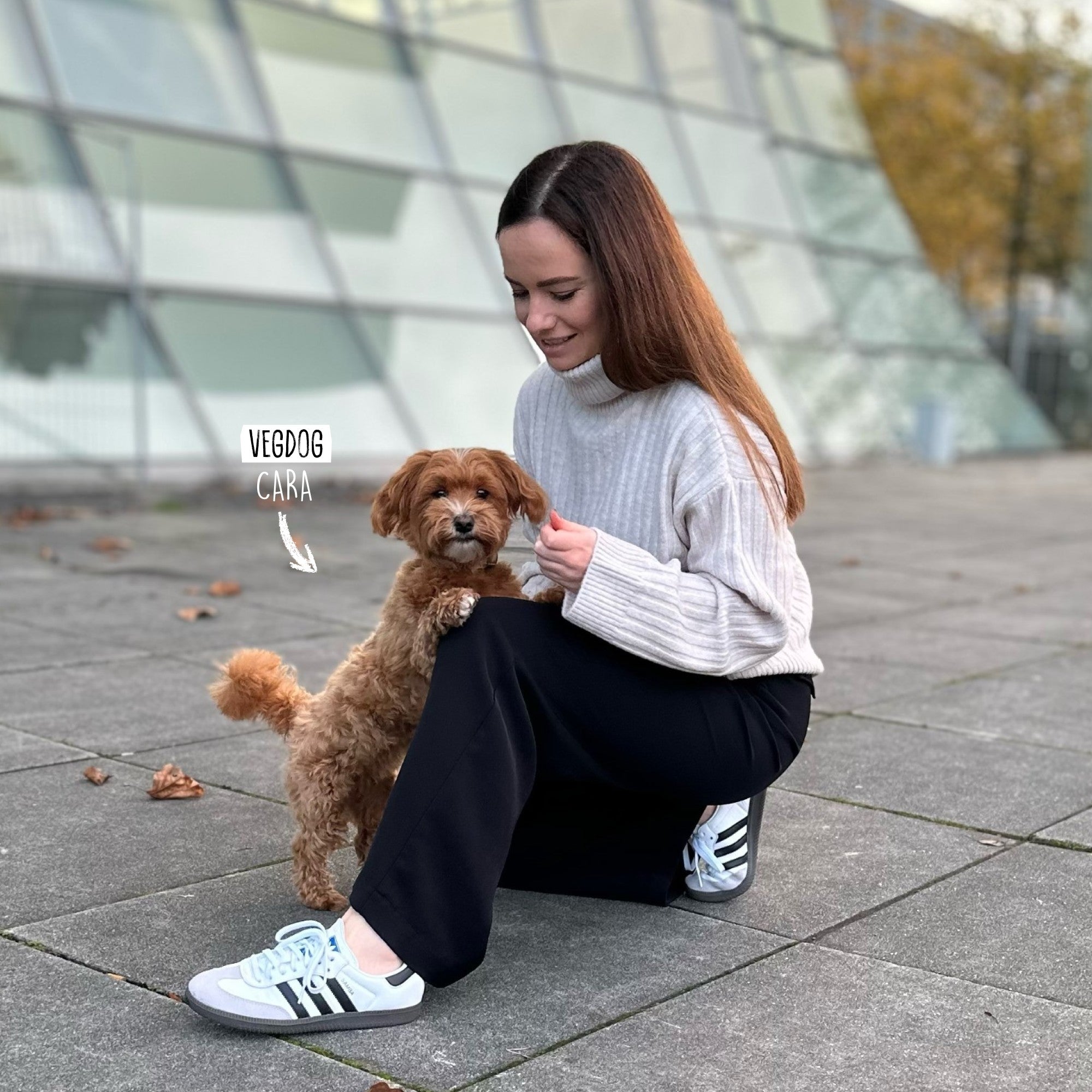Champagnepawblems Snack-Paket