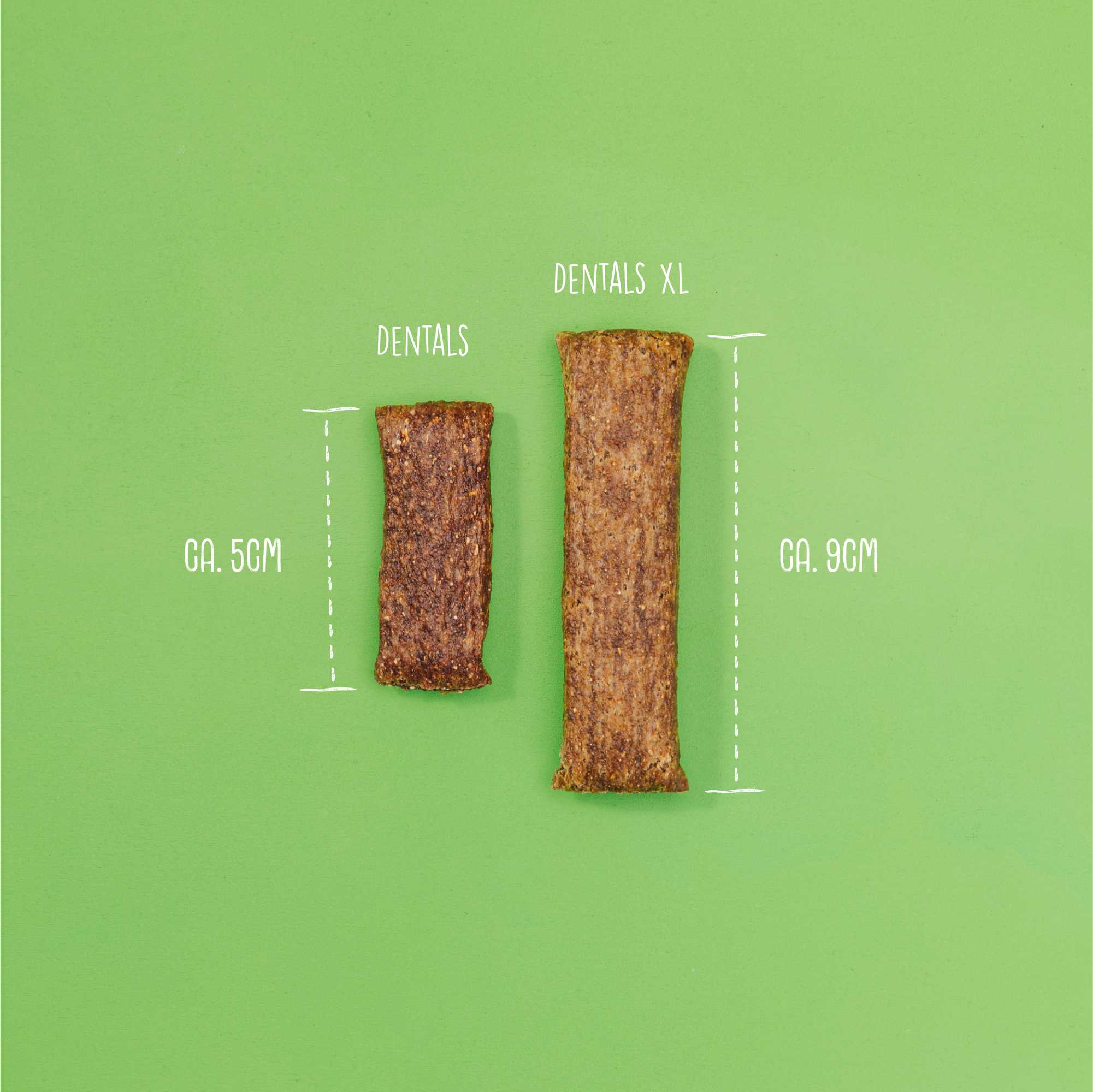 DENTALS XL