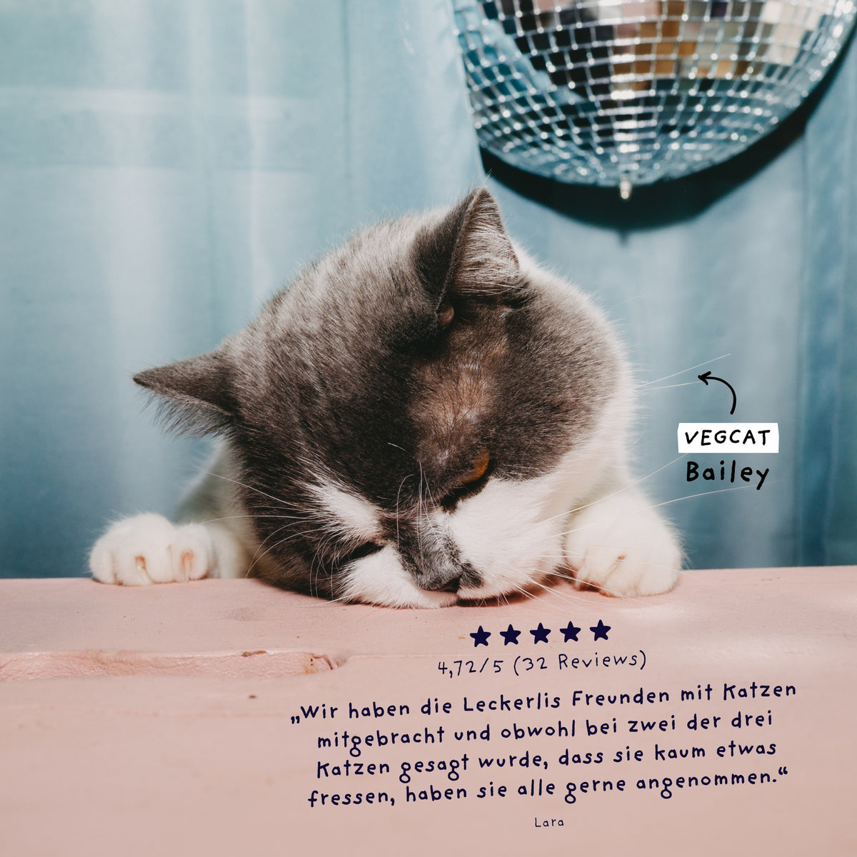 VEGCAT Pure Bites