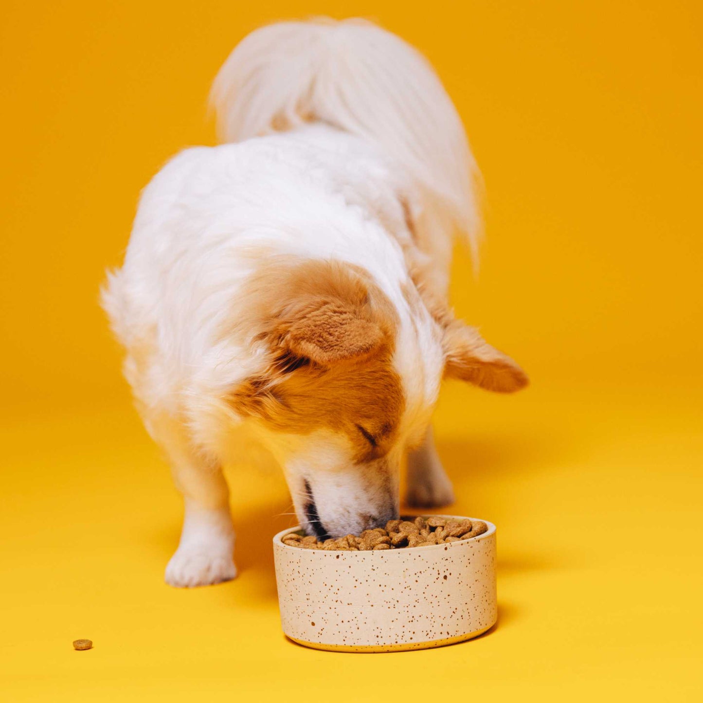 SIMPLY CRUNCH