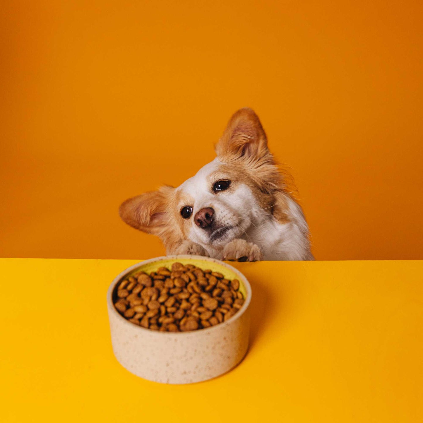 SIMPLY CRUNCH