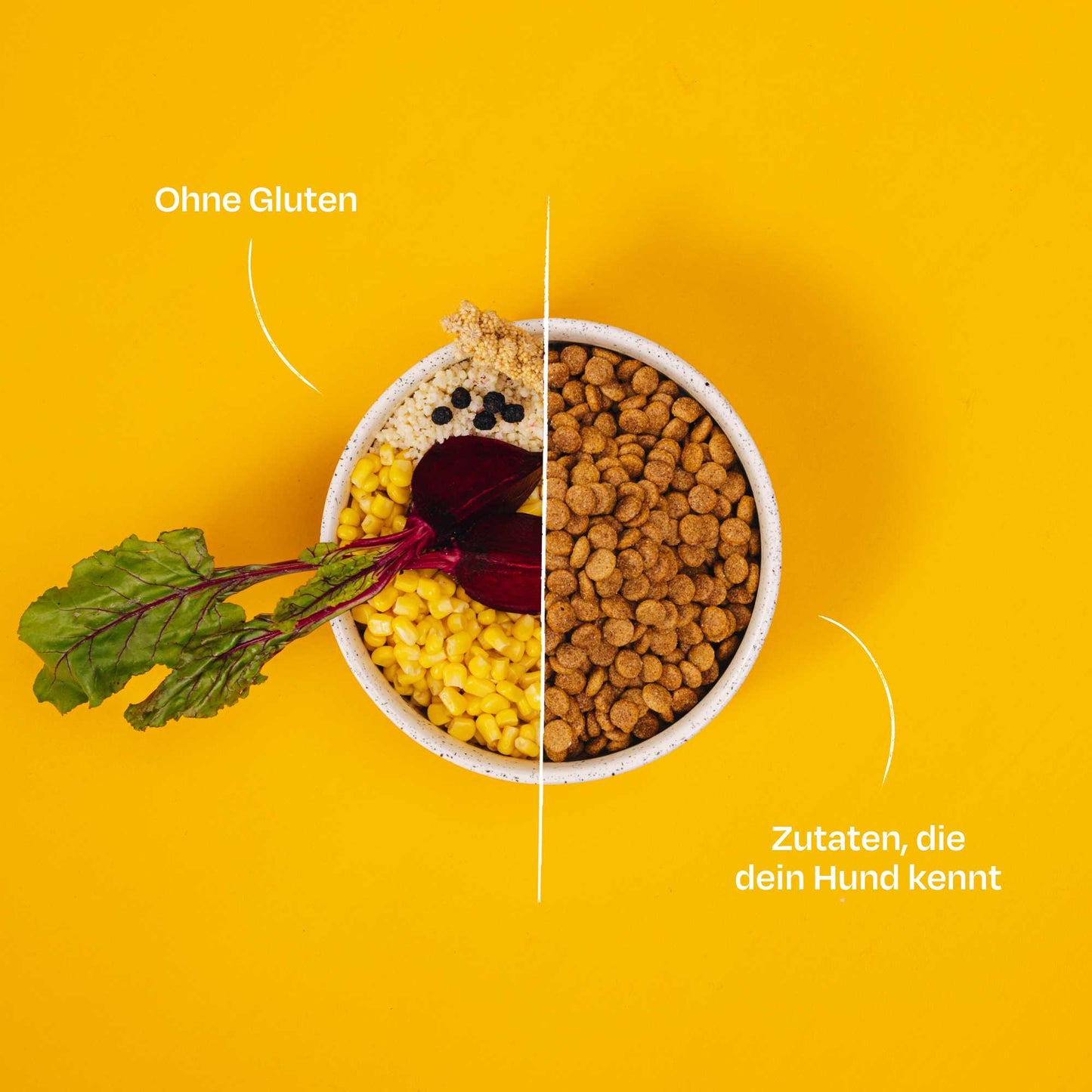 SIMPLY CRUNCH