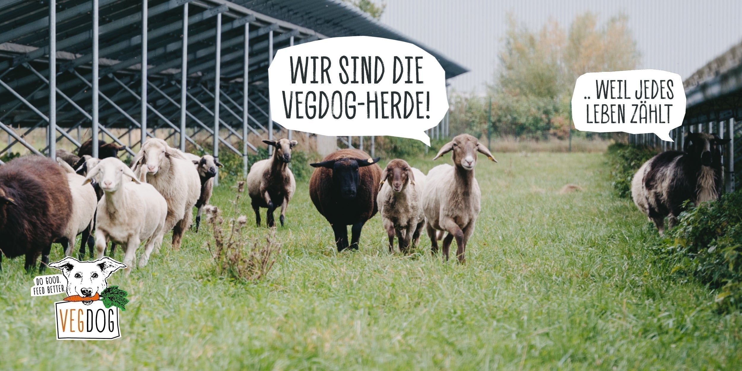 WEIL JEDES LEBEN ZÄHLT: UNSERE SCHAFHERDE