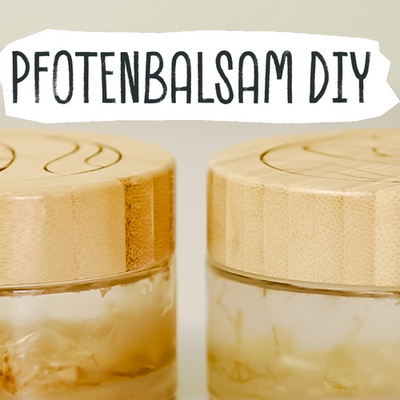 VEGDOG DIY: PFOTENBALSAM