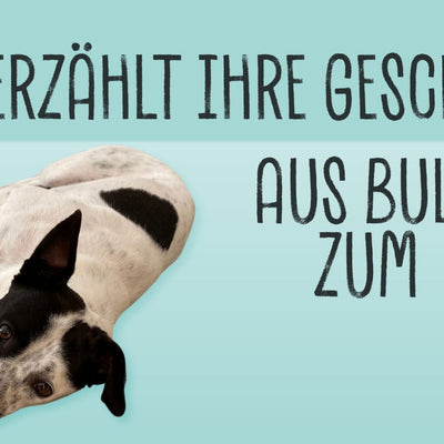 LOU ERZÄHLT IHRE GESCHICHTE: AUS BULGARIEN ZUM VEGDOG