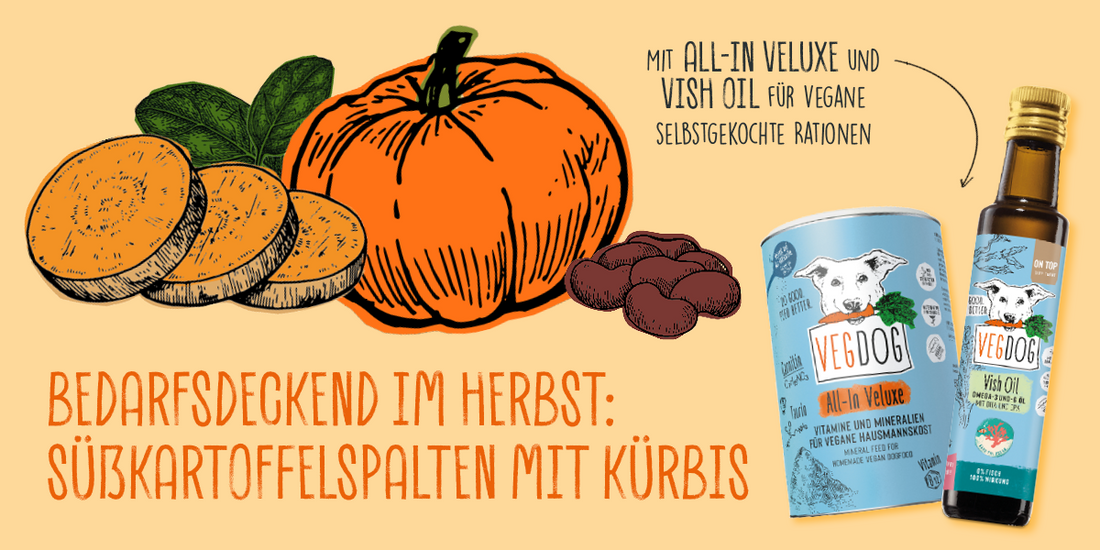 IIBEDARFSDECKENDII SÜSSKARTOFFELSPALTEN MIT KÜRBIS