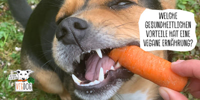 WELCHE GESUNDHEITLICHEN VORTEILE HAT EINE VEGANE ERNÄHRUNG?