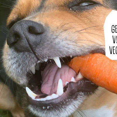 WELCHE GESUNDHEITLICHEN VORTEILE HAT EINE VEGANE ERNÄHRUNG?