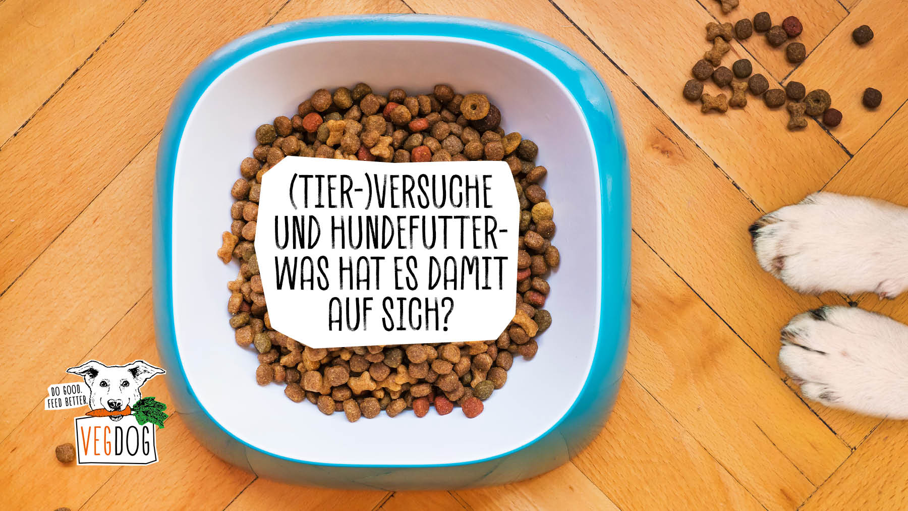 (TIER-)VERSUCHE UND HUNDEFU...