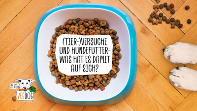 (TIER-)VERSUCHE UND HUNDEFUTTER - WAS HAT ES DAMIT AUF SICH?