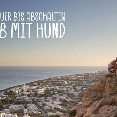 Von Abenteuer bis Abschalten – Urlaub mit Hund