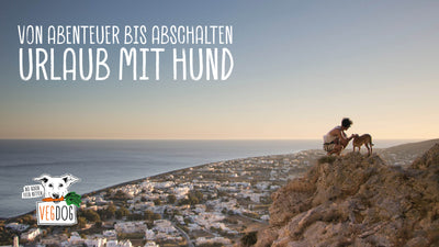 Von Abenteuer bis Abschalten – Urlaub mit Hund