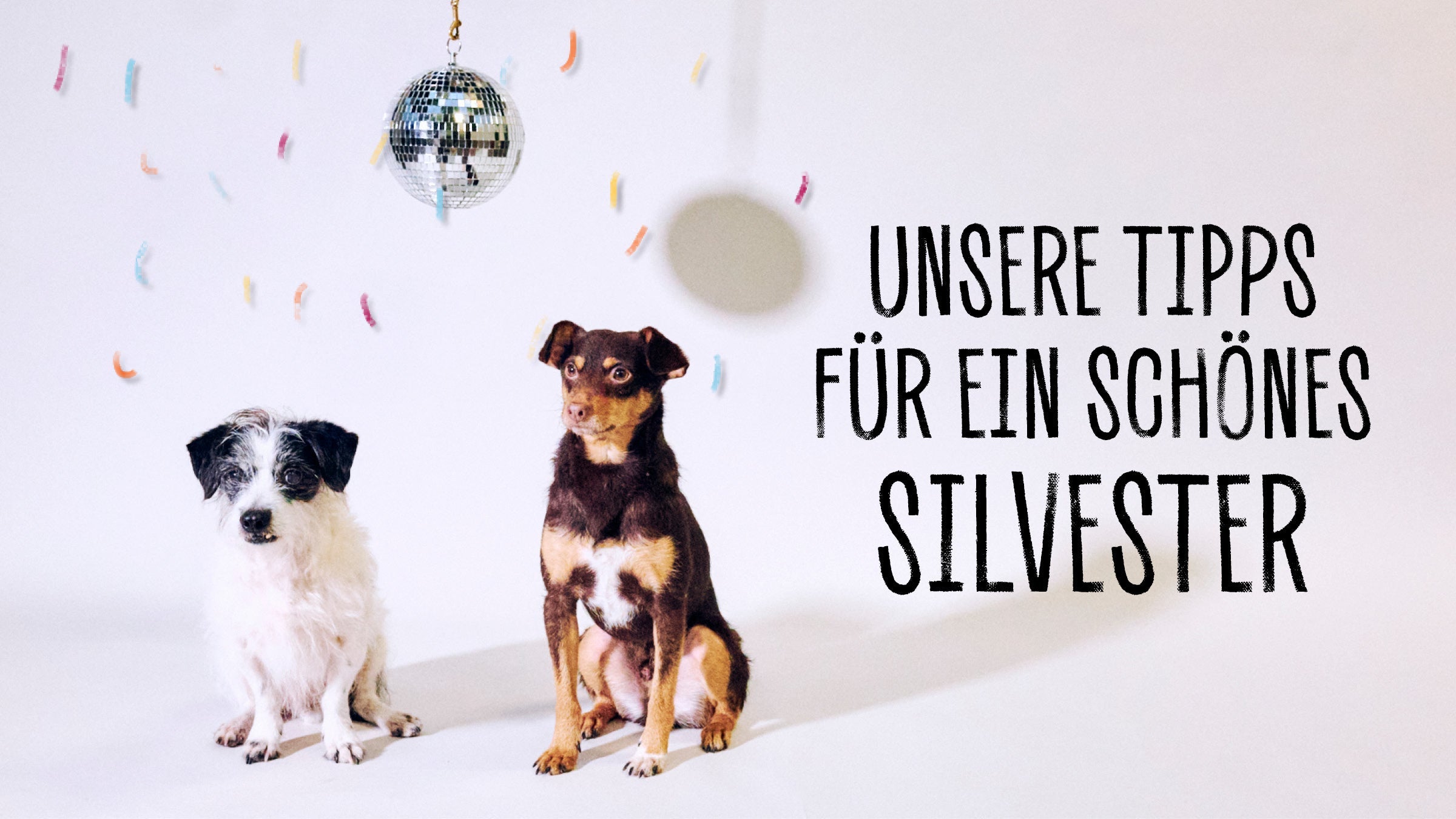 KOMMT GUT INS NEUE JAHR – T...