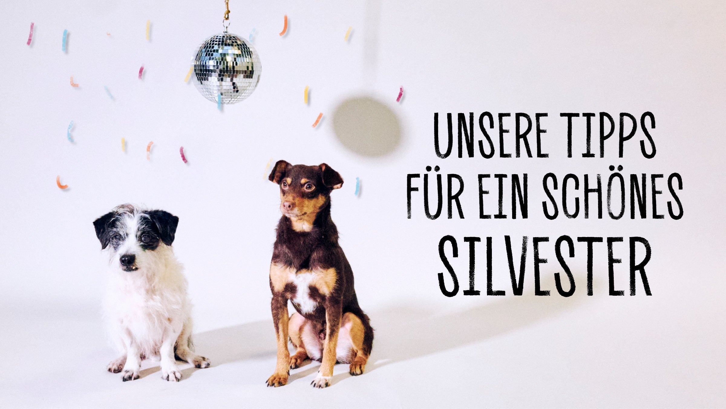 KOMMT GUT INS NEUE JAHR – TIPPS FÜR SILVESTER