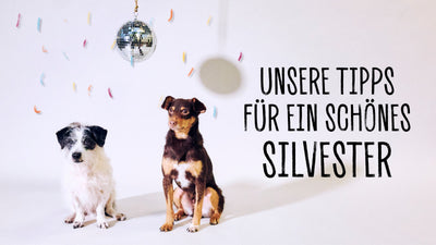 KOMMT GUT INS NEUE JAHR – TIPPS FÜR SILVESTER