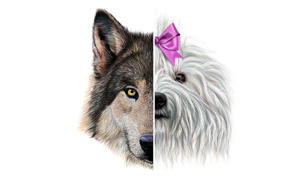 WIE DER WOLF ZU UNSEREM BES...