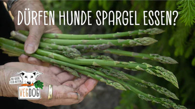 DÜRFEN HUNDE SPARGEL ESSEN