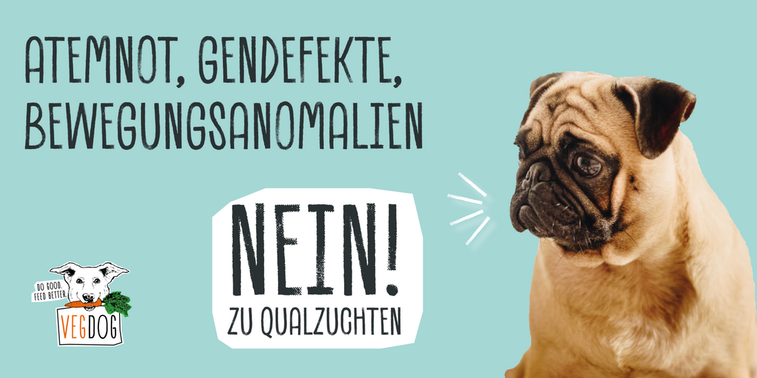 ATEMNOT, GENDEFEKTE, BEWEGUNGSANOMALIEN – NEIN ZU QUALZUCHTEN!