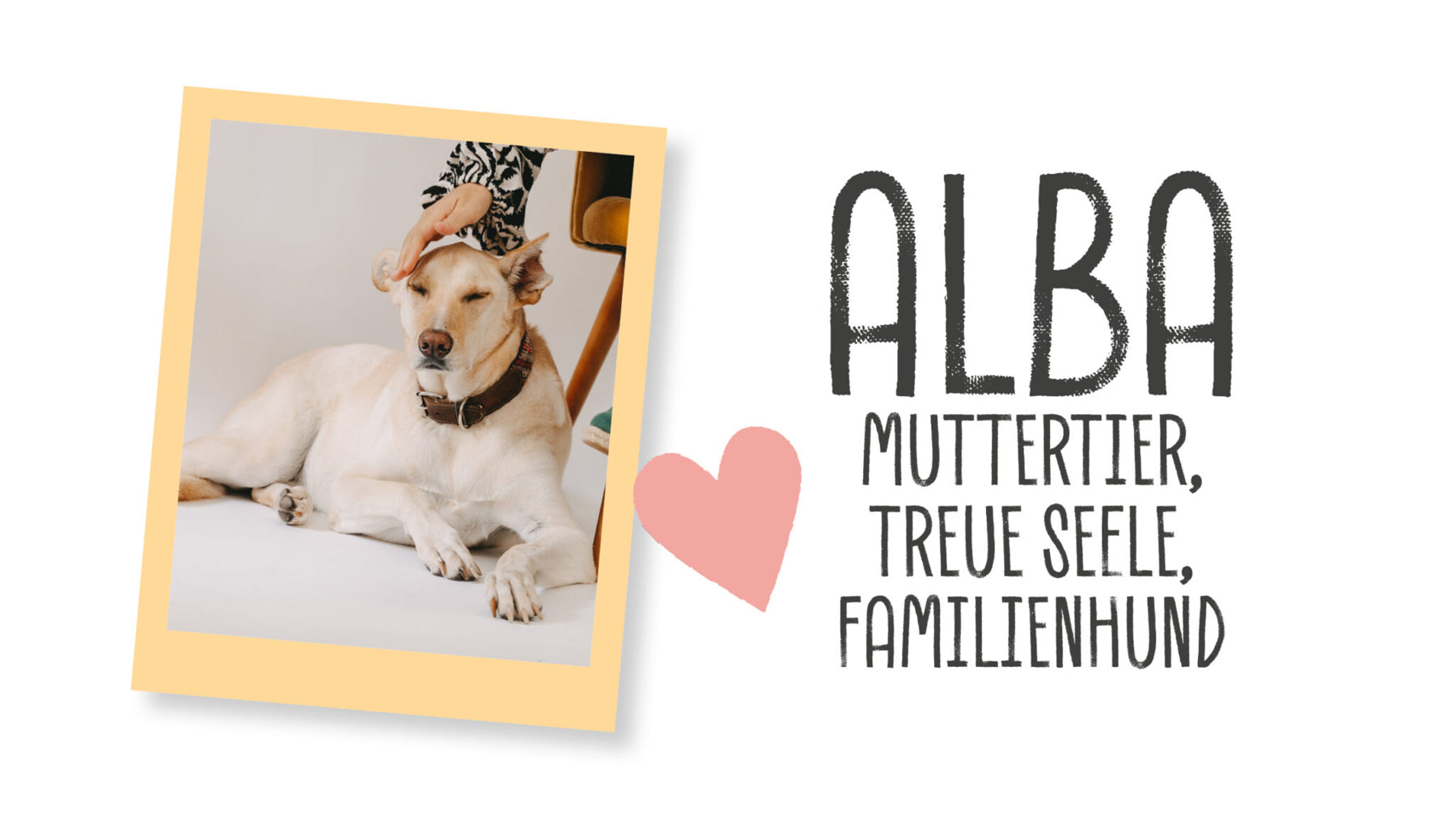 ALBA MUTTERTIER TREUE SEELE