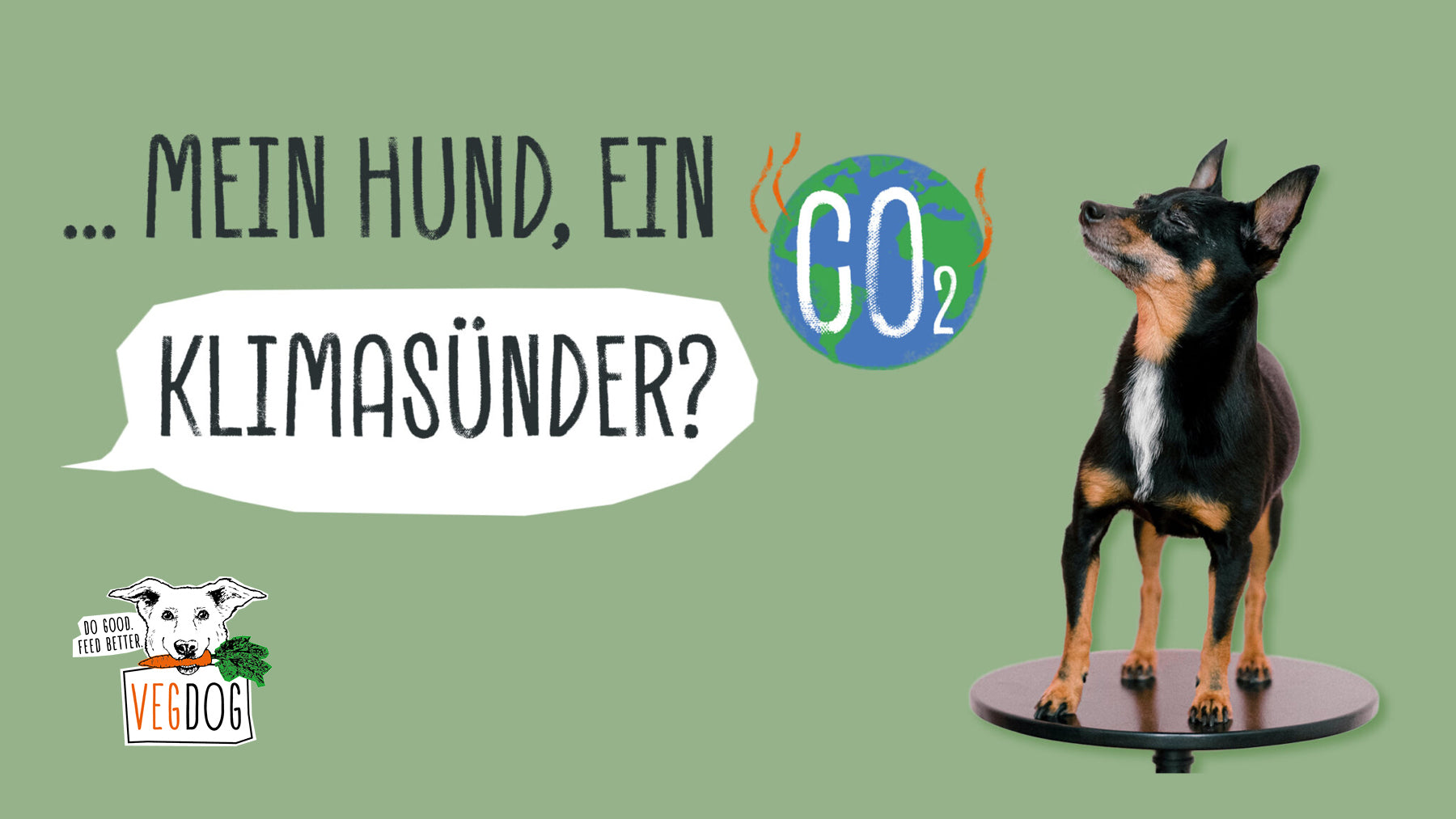 MEIN HUND, EIN KLIMASÜNDER?