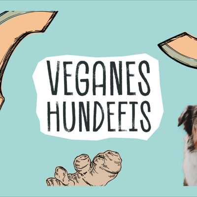 SOMMMERZEIT IST EISZEIT -  VEGANES HUNDEEIS
