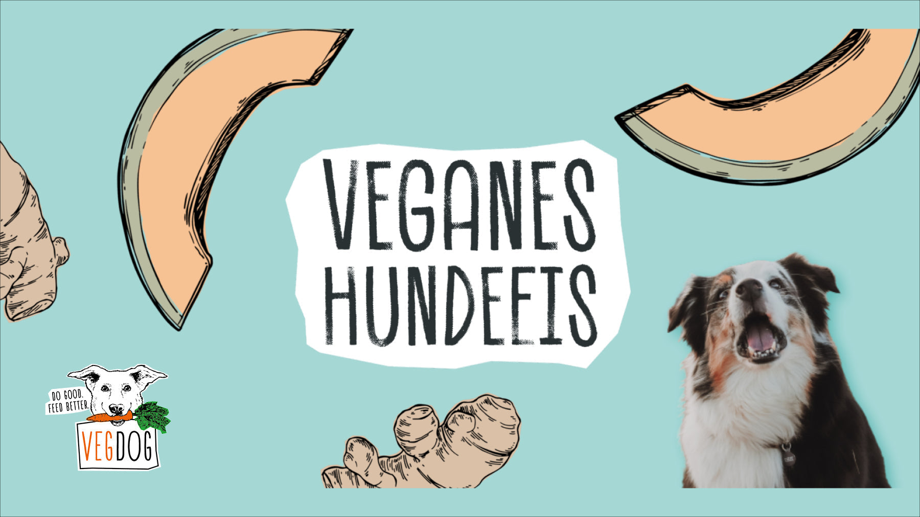 SOMMMERZEIT IST EISZEIT -  VEGANES HUNDEEIS