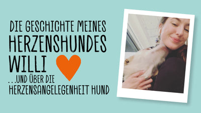 DIE GESCHICHTE MEINES HERZENHUNDES WILLI… UND ÜBER DIE HERZENSANGELEGENHEIT “HUND”