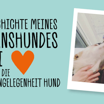 DIE GESCHICHTE MEINES HERZENHUNDES WILLI… UND ÜBER DIE HERZENSANGELEGENHEIT “HUND”