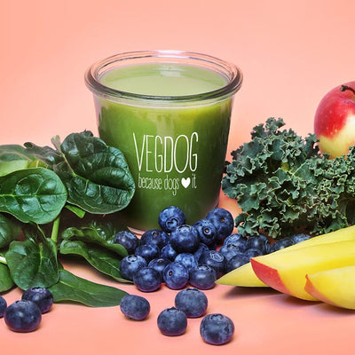 ||SNACK|| VEGDOGs grüner Smoothie für das Immunsystem