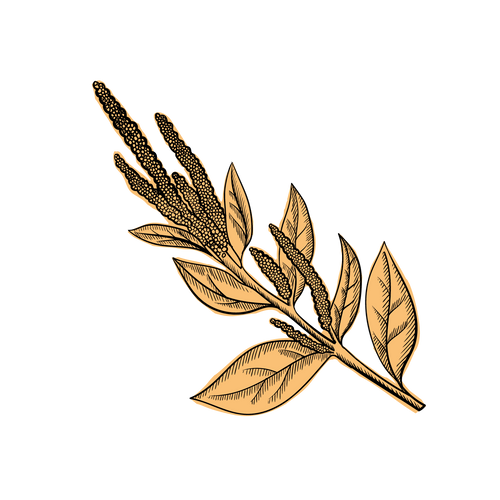 Amaranth